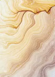 Catalogue Fram page 110