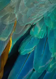 Catalogue Fram page 130