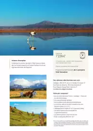 Catalogue Fram page 137