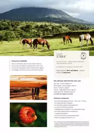 Catalogue Fram page 145