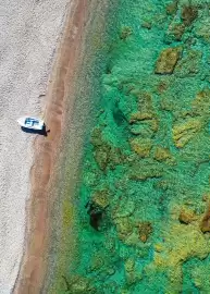 Catalogue Fram page 156