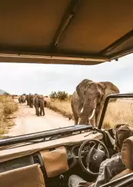 Catalogue Fram page 16