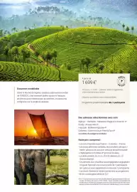 Catalogue Fram page 177