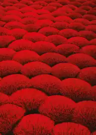 Catalogue Fram page 18