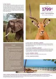 Catalogue Fram page 187