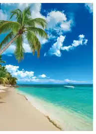 Catalogue Fram page 219