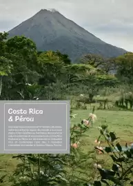 Catalogue Fram page 220