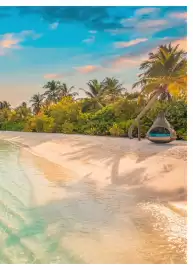 Catalogue Fram page 279