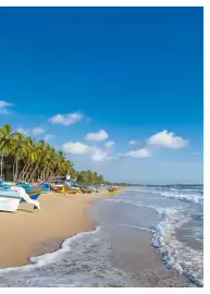 Catalogue Fram page 303