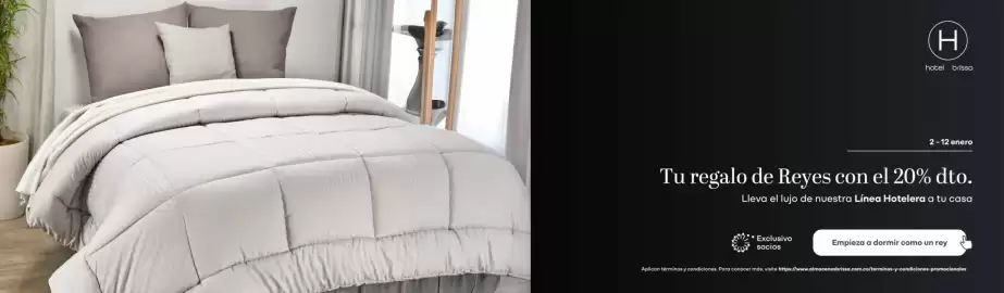 Catálogo Brissa Página 4