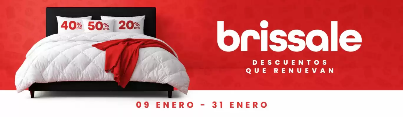Catálogo Brissa (válido hasta 31-01)