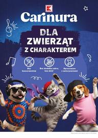 Kaufland gazetka Strona 22