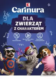 Kaufland gazetka Strona 22