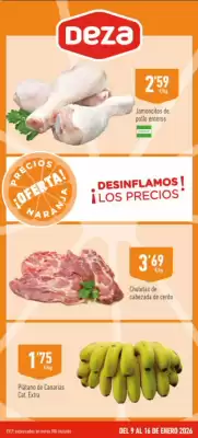 Folleto Supermercados Deza (válido hasta el 16-01)