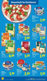 Lidl Prospekt Seite 22
