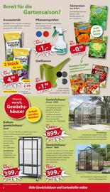 Sonderpreis Baumarkt Prospekt woche 3 Seite 8