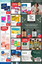 Budni Prospekt woche 4 Seite 5