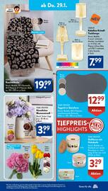 Aldi Süd Prospekt woche 5 Seite 9