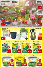 Zimmermann Prospekt woche 3 Seite 7