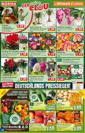 Norma Prospekt woche 4 Seite 14