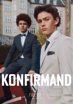 Nielsen's tilbudsavis (gælder indtil 16-01)