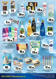Adam leták týden 3 Strana 8