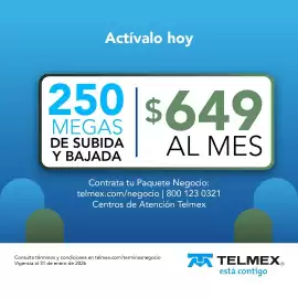 Catálogo Telmex Página 4