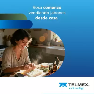 Catálogo Telmex (válido hasta 31-01)