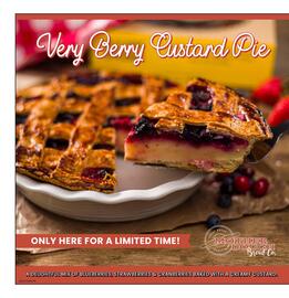 Freson Bros flyer week 3 Page 6