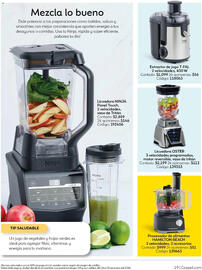Catálogo Coppel Página 20