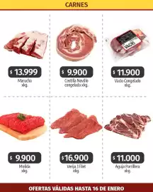 Catálogo Autoservicio Capo semana 2 Página 2