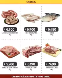 Catálogo Autoservicio Capo semana 2 Página 3