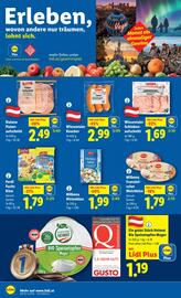 Lidl Flugblatt woche 3 Seite 14