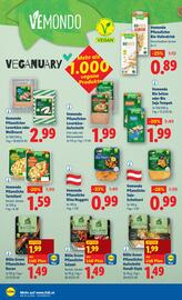 Lidl Flugblatt woche 3 Seite 20