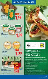 Lidl Flugblatt woche 3 Seite 21