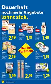 Lidl Flugblatt woche 3 Seite 45