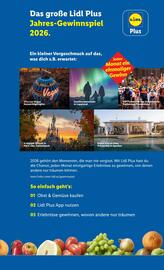Lidl Flugblatt woche 3 Seite 7