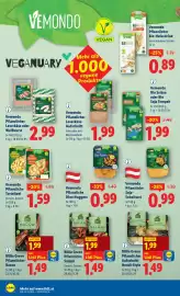 Lidl Flugblatt woche 3 Seite 20