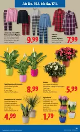 Lidl Flugblatt woche 3 Seite 29