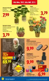 Lidl Flugblatt woche 3 Seite 30
