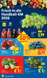 Lidl Flugblatt woche 3 Seite 38