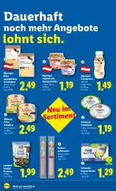 Lidl Flugblatt woche 3 Seite 45