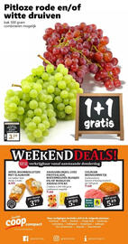 CoopCompact folder week 3 Pagina 12