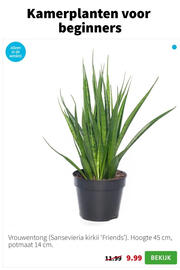 Intratuin folder week 3 Pagina 2