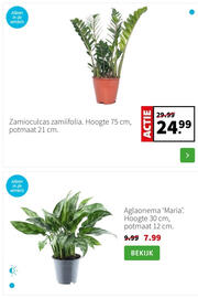 Intratuin folder week 3 Pagina 3