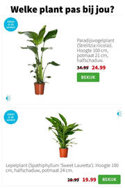 Intratuin folder week 3 Pagina 4