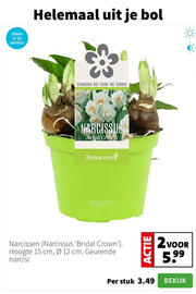 Intratuin folder week 3 Pagina 6