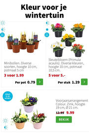 Intratuin folder week 3 Pagina 7