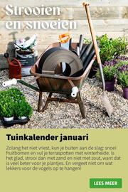 Intratuin folder week 3 Pagina 8