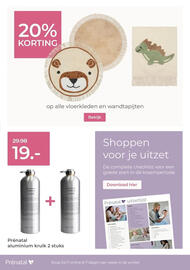 Prenatal folder Pagina 13